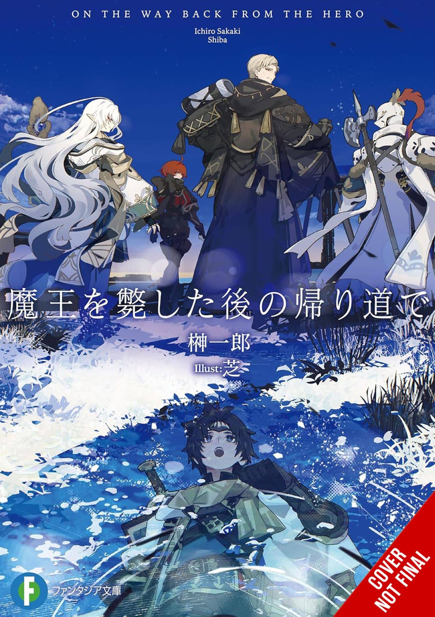 On the Way Home After Defeating the Demon King (novel)