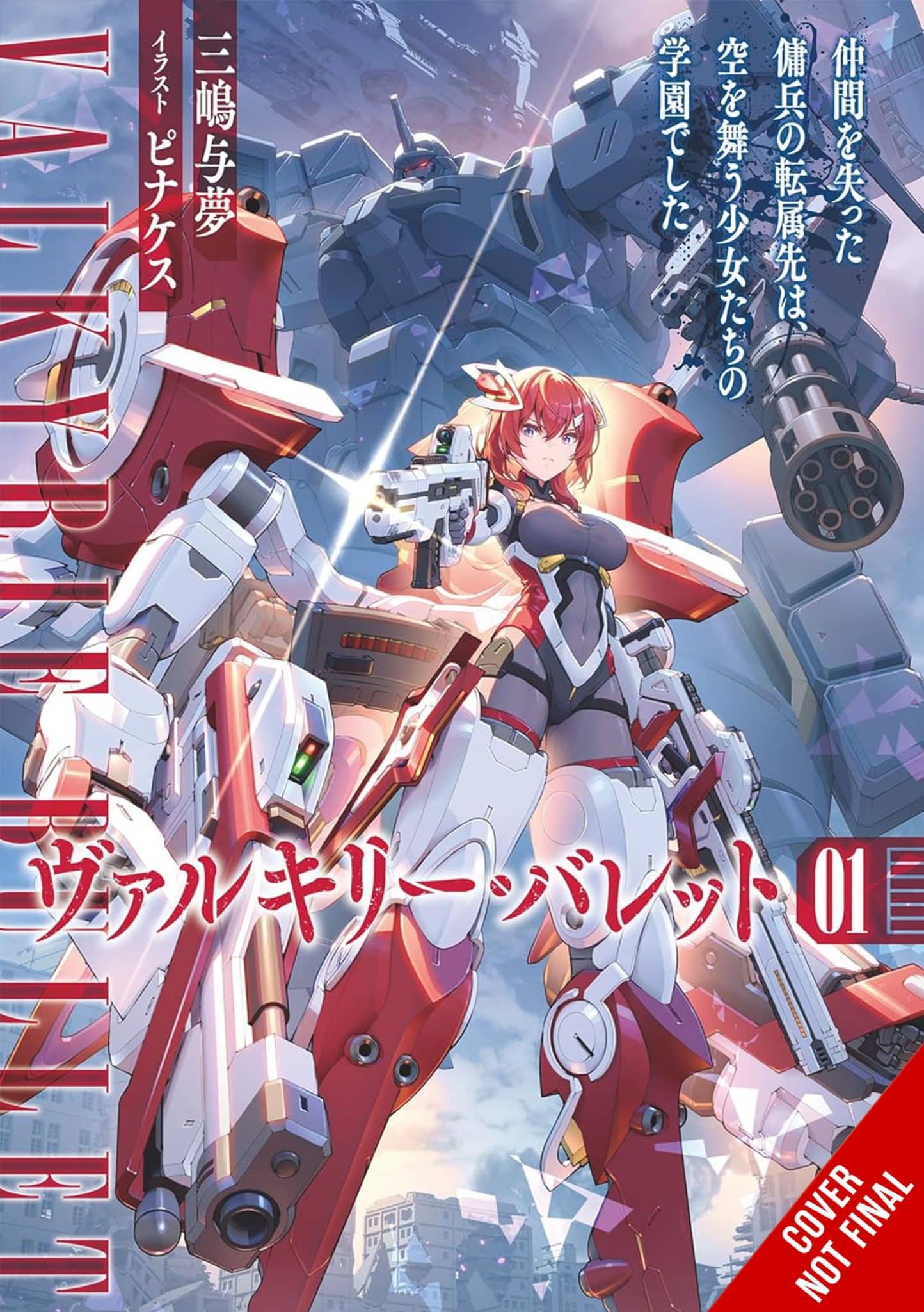 Valkyrie Bullet (novel)