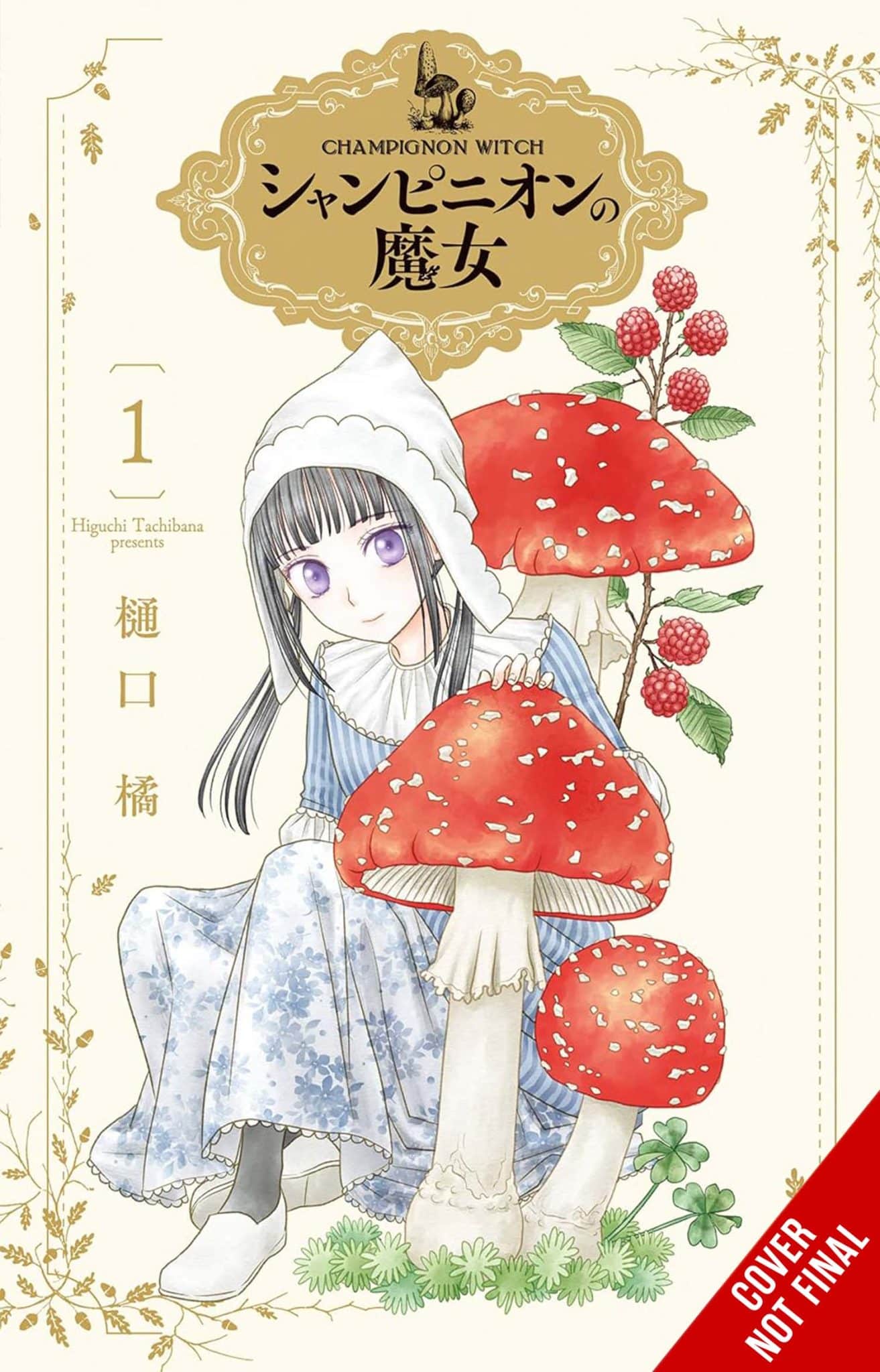 Champignon Witch